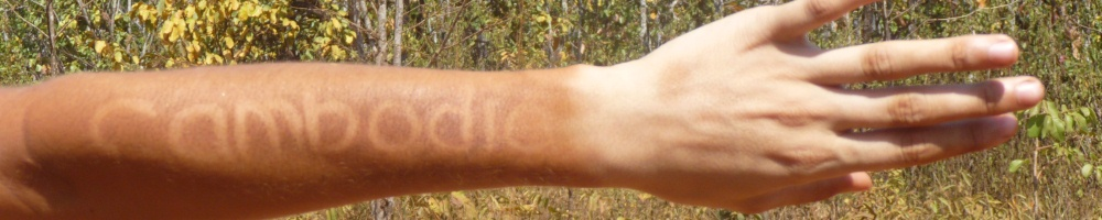 bilder-header